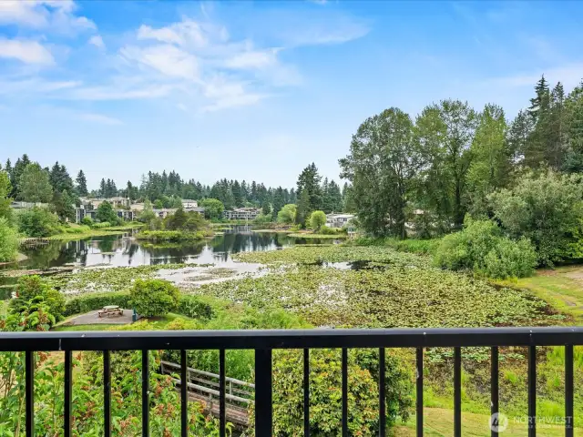 Peaceful serene view from your TOP FLOOR deck