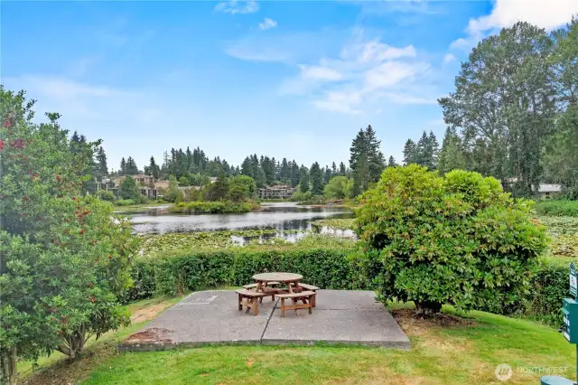 Great spot for a picnic lunch