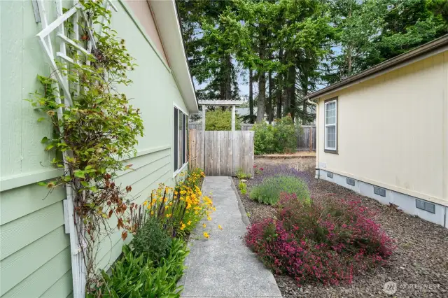 Sidewalk to backyard gate along garage.