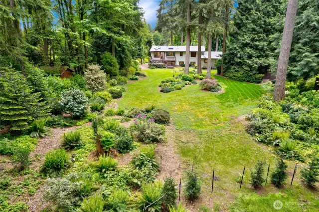 Backyard oasis!