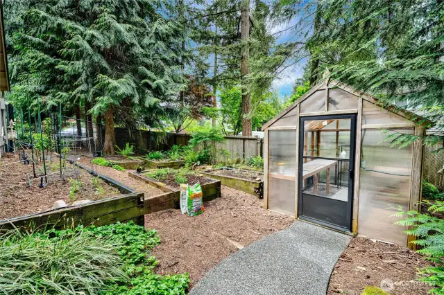 Even your own greenhouse and raised beds, wow!