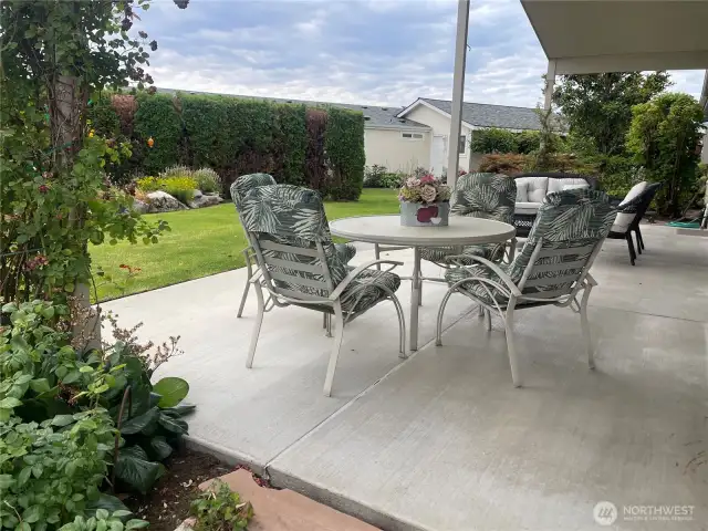 Entertaining size Back yard