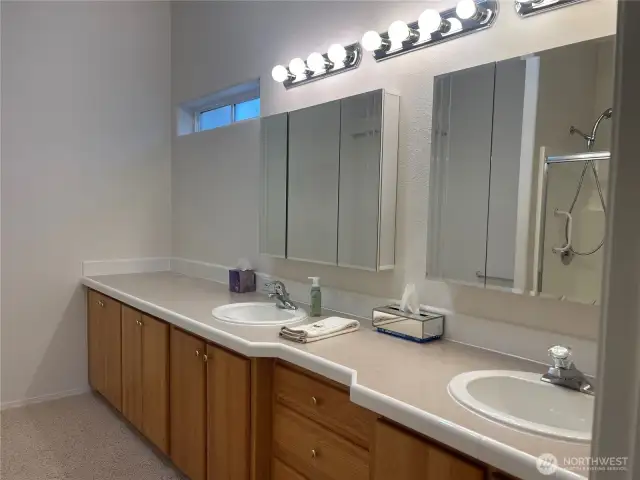 Primary Bath with easy care shower