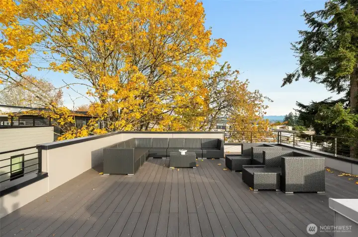 City views from the rooftop deck!