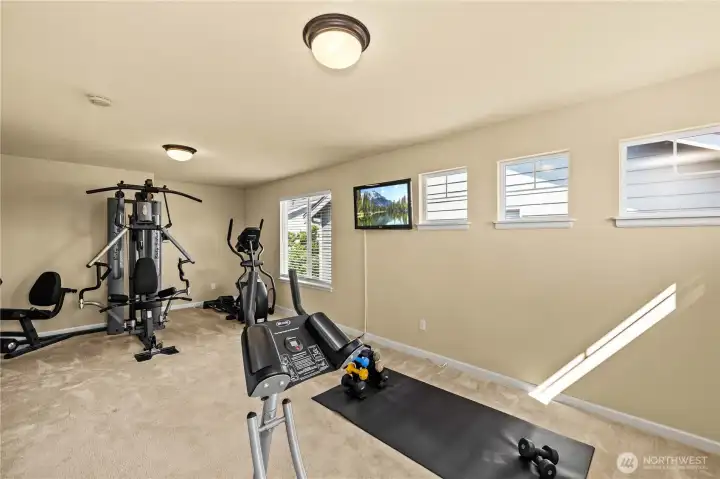 Large Bonus Room