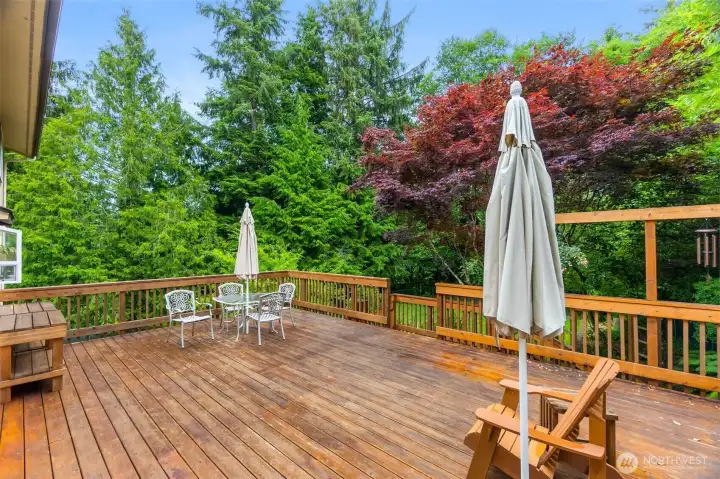 South facing and protected by distant forest