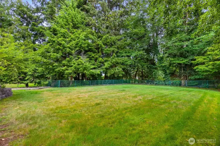 Large fenced back yard to let your imagination run wild (and possibly a dog)