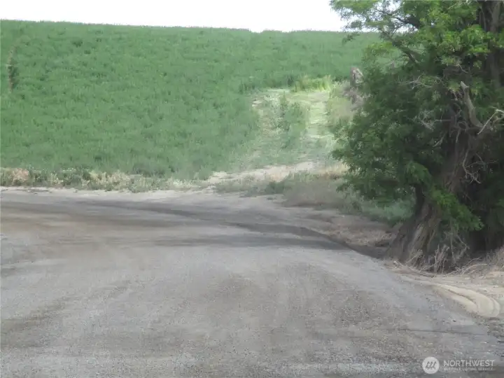 Future easement access