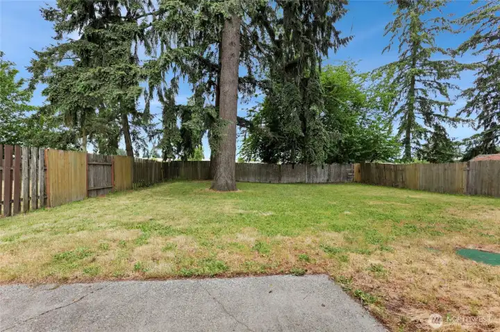 Large Fully Fenced Backyards