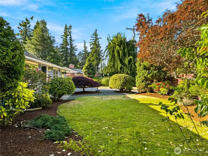 Front yard oasis