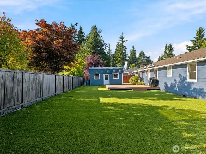 Low-maintenance astroturf