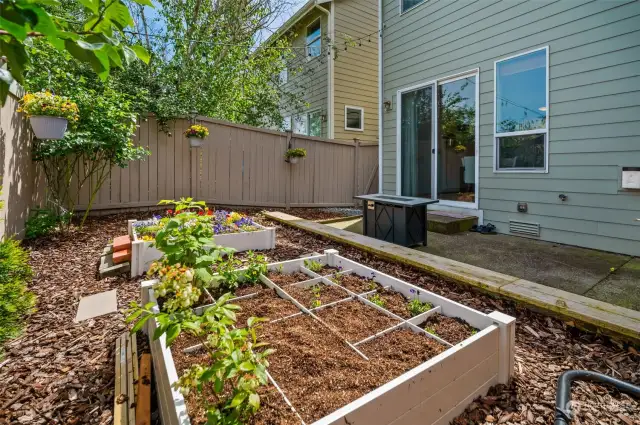 This sweet space has two beautiful flowering rose bushes, along with 2-raised planted beds. This yard will give you lots of flesh cut flowers to enjoy.