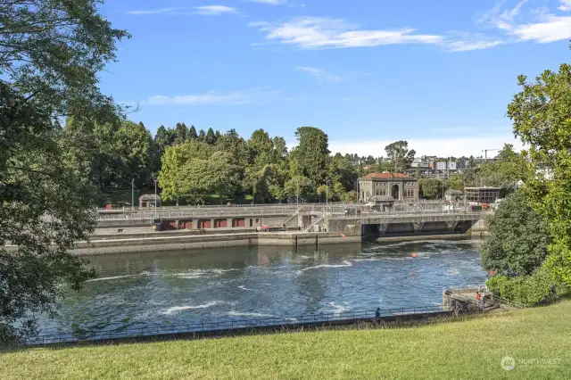 Head just down the hill to beautiful Commodore Park to read, picnic and watch as boats, seals and birds make their way through the ship canal and Ballard Locks.