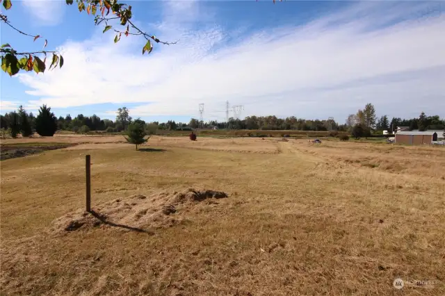 Future homesite? Back of property (East)