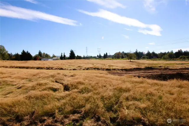 View from the north side of the property