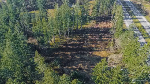 Cleared and surrounded by trees