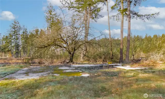 This is where the former manufactured home sat. Current owner bought it this way