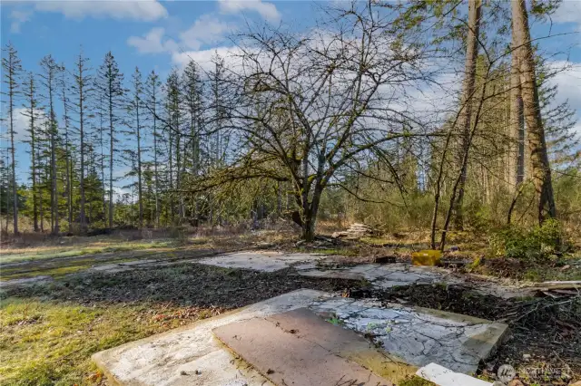 Former manufactured home sat on this concrete pad - new septic design will sit along the trees in the distance