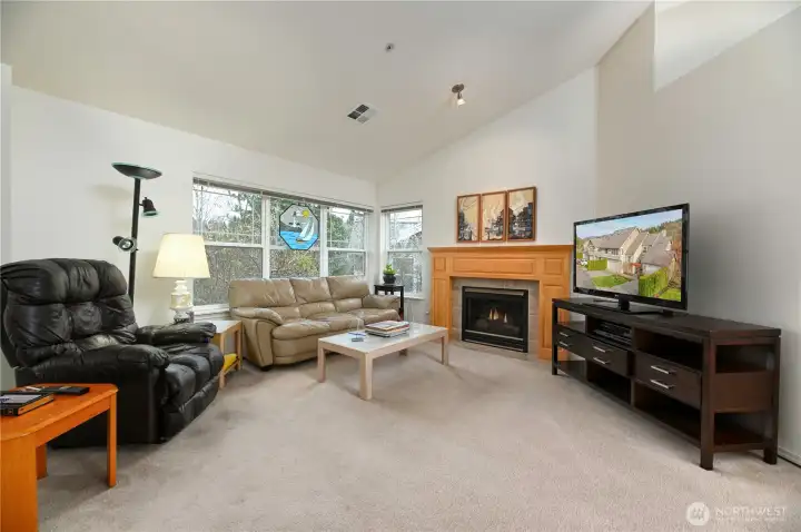 Loads Of Sunshine And Cozy Gas Fireplace