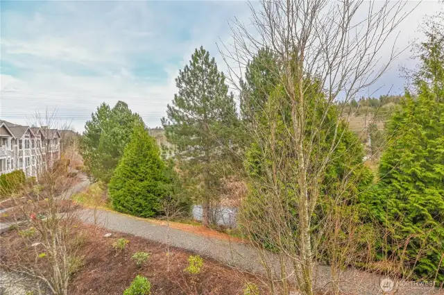 Walking Trail Behind Community