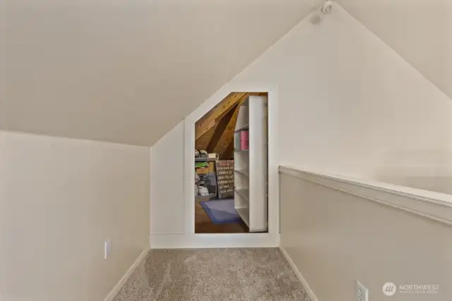 Shhhhh, behind the bookshelf is massive storage space.