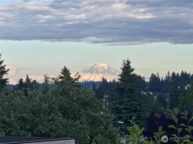 From the deck