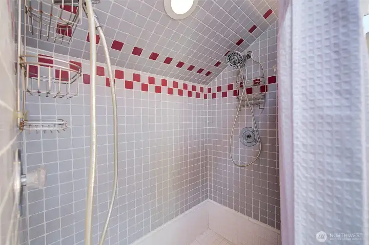 Walk-in shower with dual shower heads!