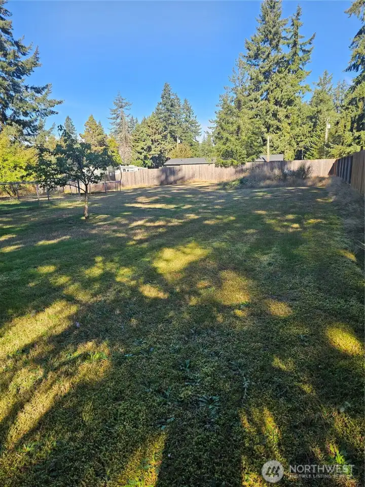Backyard space that is fully fenced