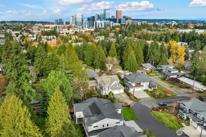 Close proximity to downtown Bellevue