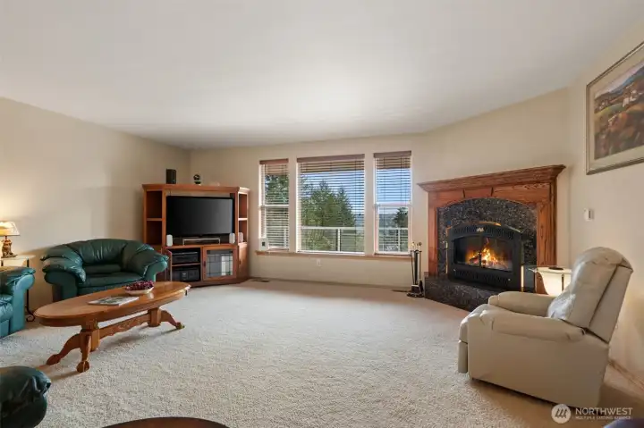 Large living room with propane fireplace.