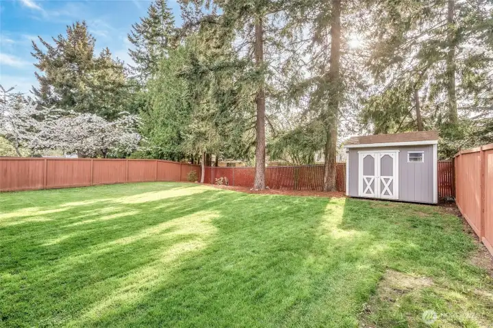 Flat backyard ready for years of fun and games