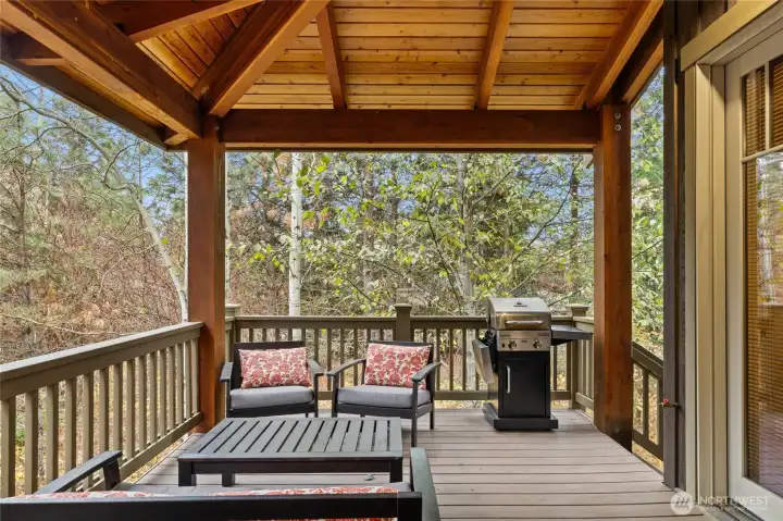 Covered outdoor deck space Covered outdoor deck space