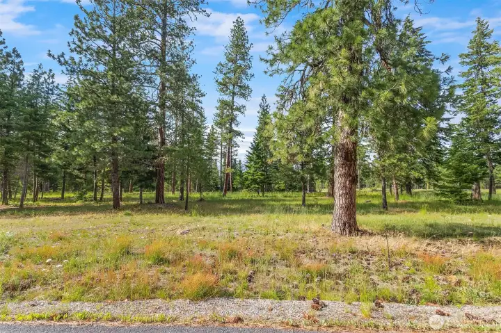 Perfect balance of sunshine and lightly treed .52 Acre lot, ready to build