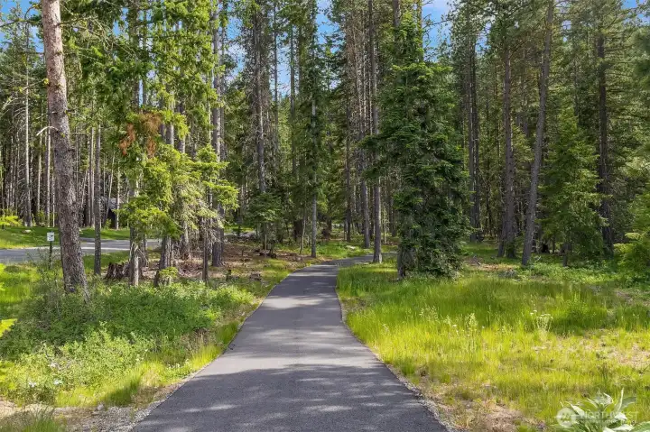 More Walking Trails within Tumble Creek