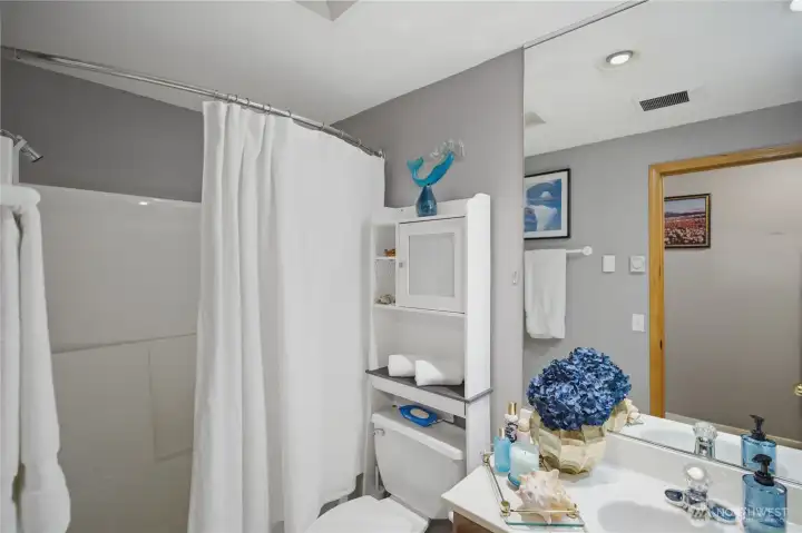 Guest Bath