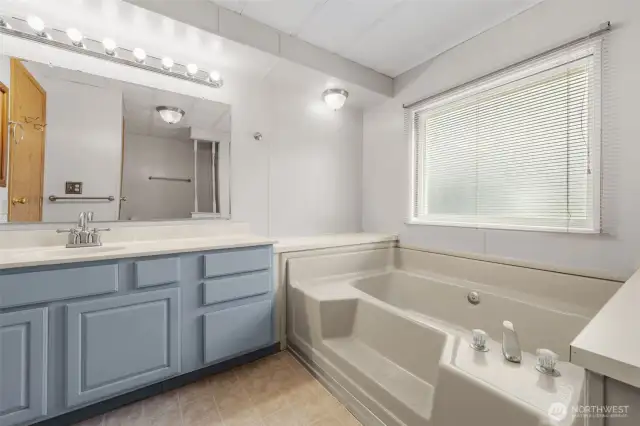 Primary bathroom with large window.