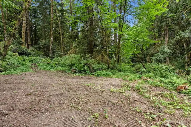 Area down near the creek that will feel like a retreat.