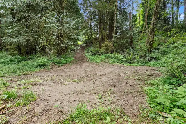There is a cleared trail down to this setting.