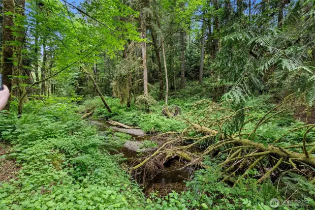 Huge Creek can be enjoyed from here.