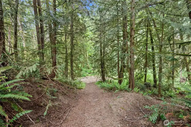 Cleared path for easy access