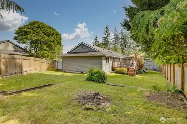 Large fenced backyard
