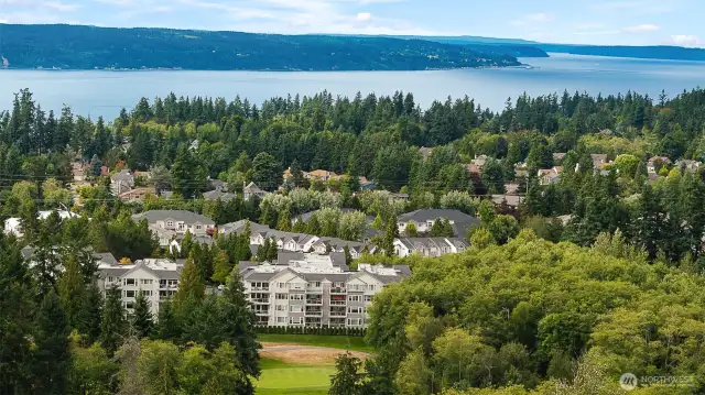 Stunning Harbour Pointe Neighborhood. Look at the Puget Sound!
