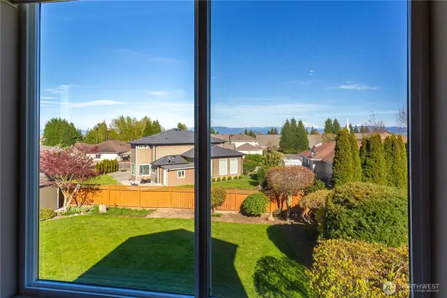 View from Primary Room