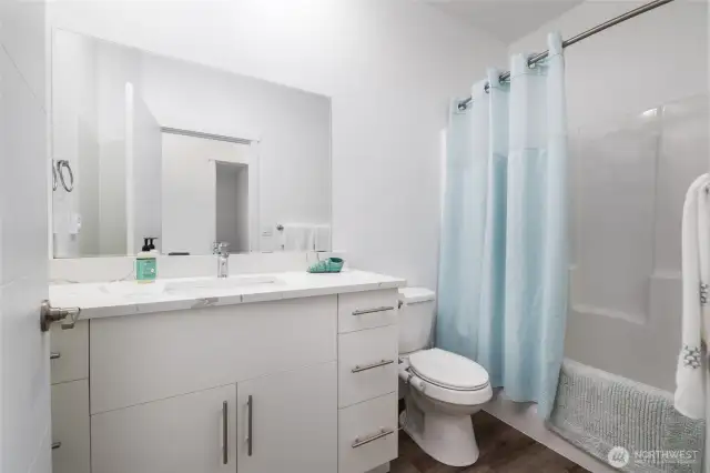 Lower level full bathroom