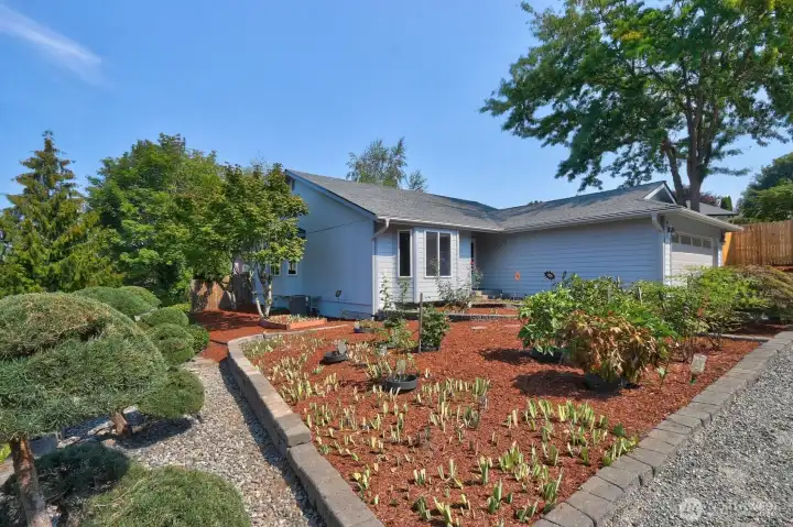 Beautiful South facing flower garden full or irises roses and peonies.