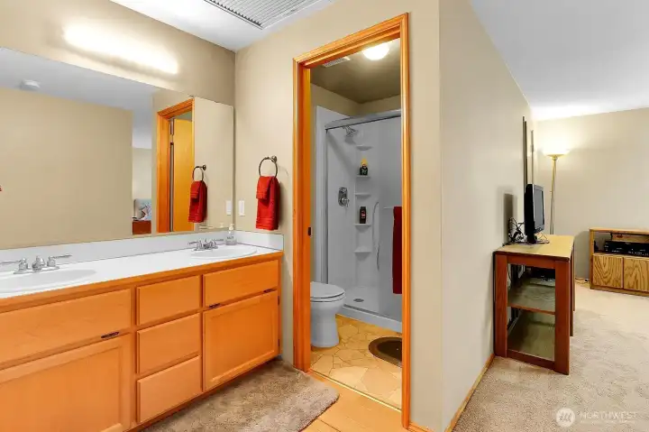 Primary suite bath area