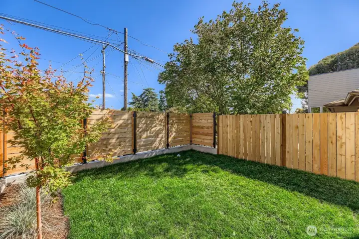 Private fenced, front yard.