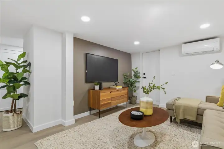 Downstairs Family Room