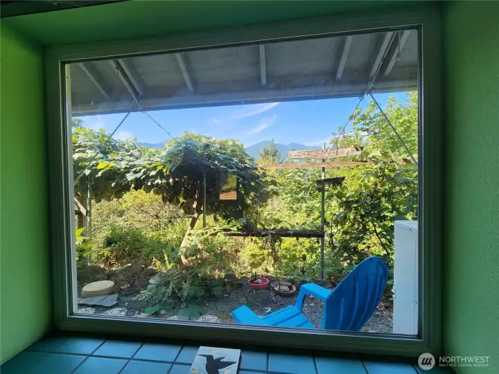 view out great room window