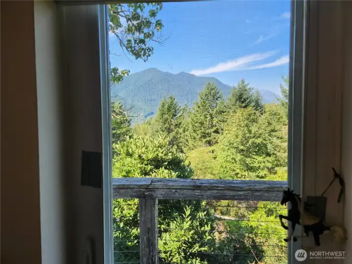 view from a window in the ADU